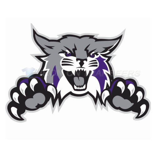 Weber State Wildcats Logo T-shirts Iron On Transfers N6922 - Click Image to Close
